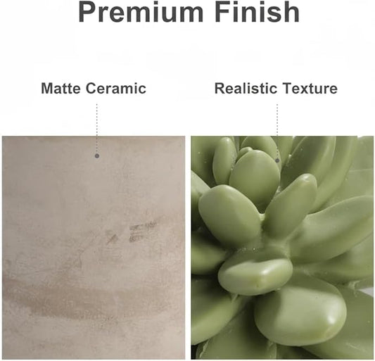 Reed Diffuser Set, 3.38 fl oz/100 ml Succulent Ceramic Fragrance Diffuser Vase Set, Home Fragrance Reed Diffuser for Bathroom Office Living Room Decor (Sweet Orange Cedar)