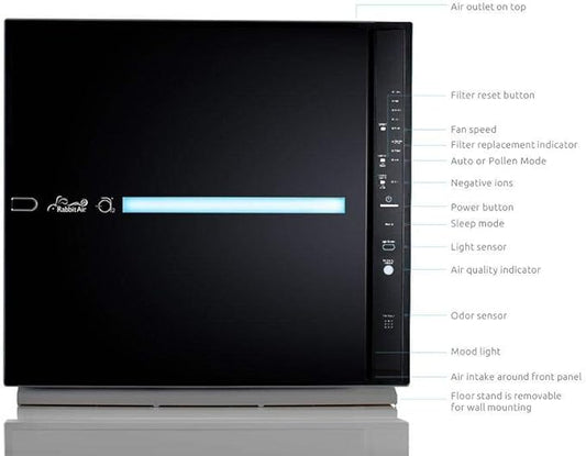 Rabbit Air, MinusA2 Air Purifiers for Home, Ultra Quiet HEPA Air Purifier - Wall Mountable Large Room Air Purifier - Stylish, Efficient and Energy Star - (SPA-780A, Black, Odor Remover)