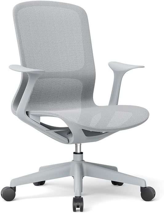 Ergonomic Mesh Office Chair with Lumbar Support, Multicolor Rolling Task Chair, Adjustable Computer Desk Seating for Home Office (Grey)