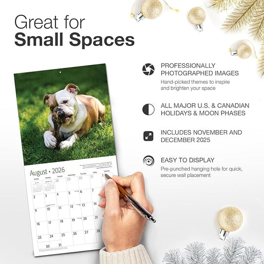 RED EMBER Bulldog Puppies 2026 Mini Wall Calendar 12 Month | 7" x 14" Open | Thick & Sturdy Paper | Holiday Gift | Cute Puppy Dog Calendar 2026
