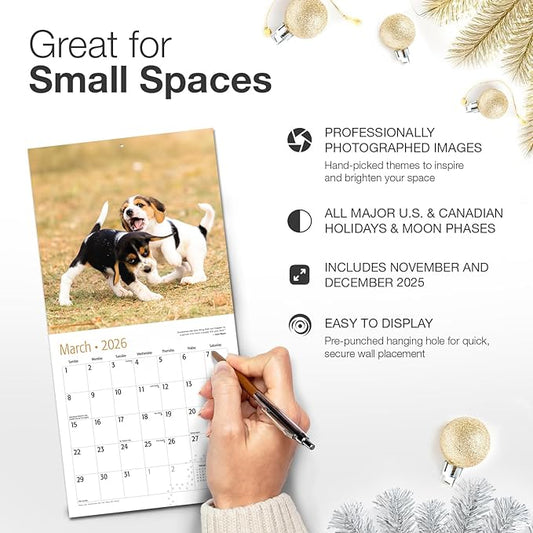 RED EMBER Beagle Puppies 2026 Mini Wall Calendar 12 Month | 7" x 14" Open | Thick & Sturdy Paper | Holiday Gift | Cute Puppy Dog Calendar 2026
