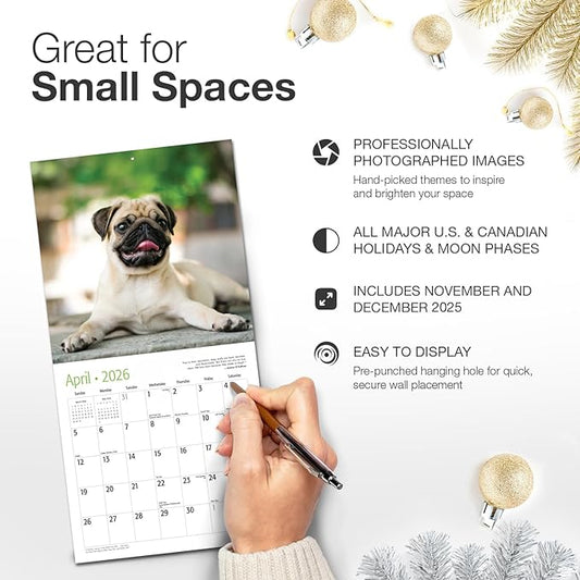 RED EMBER Pug Puppies 2026 Mini Wall Calendar 12 Month | 7" x 14" Open | Thick & Sturdy Paper | Holiday Gift | Cute Puppy Dog Calendar 2026