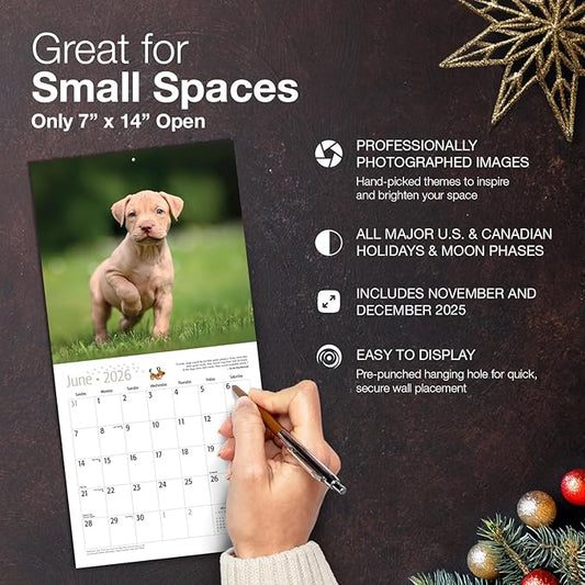 MICASA PRESS Pit Bull Puppies 2026 Mini Wall Calendar 12 Month | 7" x 14" Open | Thick & Sturdy Paper | Holiday Gift | Cute Puppy Dog Calendar 2026