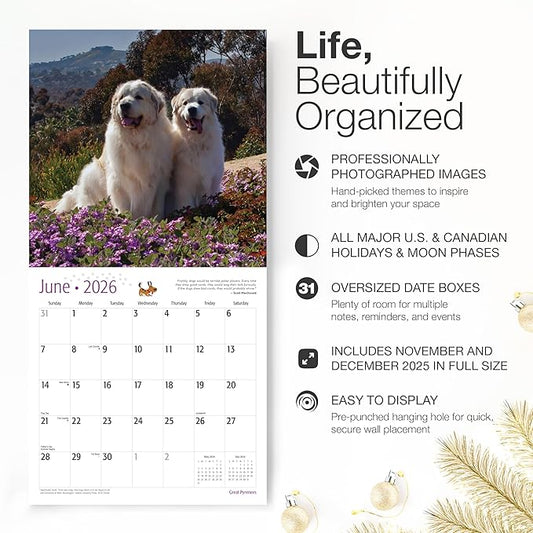 RED EMBER Great Pyrenees 2026 Wall Calendar 12 Month | 12" x 24" Open | Thick & Sturdy Paper | Holiday Gift | Cute Puppy Dog Calendar 2026