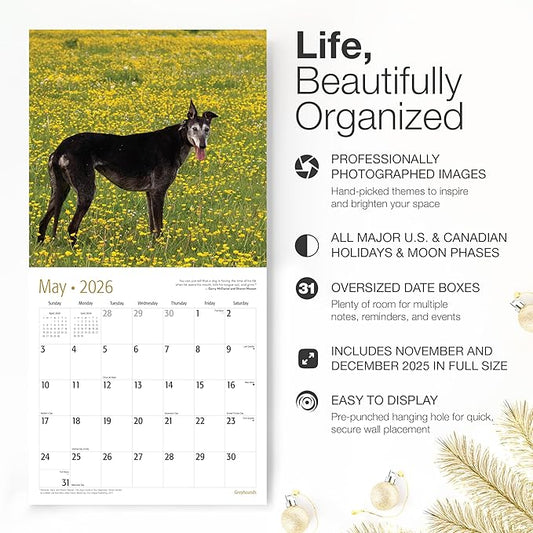 RED EMBER Greyhounds 2026 Wall Calendar 12 Month | 12" x 24" Open | Thick & Sturdy Paper | Holiday Gift | Cute Puppy Dog Calendar 2026