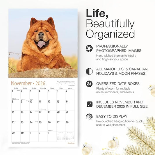 RED EMBER Chow Chows 2026 Wall Calendar 12 Month | 12" x 24" Open | Thick & Sturdy Paper | Holiday Gift | Cute Puppy Dog Calendar 2026