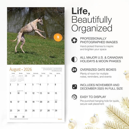 RED EMBER Whippets 2026 Wall Calendar 12 Month | 12" x 24" Open | Thick & Sturdy Paper | Holiday Gift | Cute Puppy Dog Calendar 2026