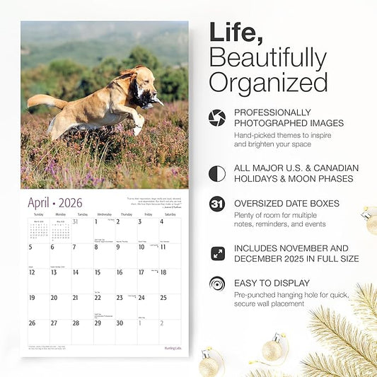 RED EMBER Hunting Labs 2026 Wall Calendar 12 Month | 12" x 24" Open | Thick & Sturdy Paper | Holiday Gift | Sport Labrador Retriever Puppy Dog Calendar 2026