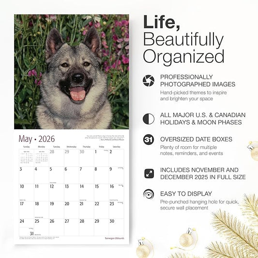 RED EMBER Norweigian Elkhounds 2026 Wall Calendar 12 Month | 12" x 24" Open | Thick & Sturdy Paper | Holiday Gift | Cute Puppy Dog Calendar 2026