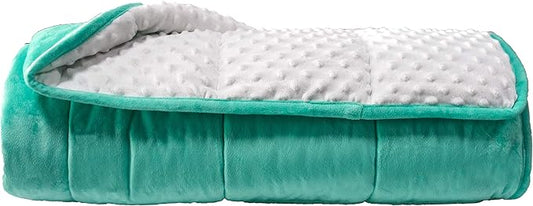 ALANSMA Reversible Weighted Blanket for All Season, Luxury Velvet, Warm and Cool, Adult 10Lb Green Weighted Blanket, Enjoy Sleeping Anywhere(Light Green,48"x72" 10lbs)