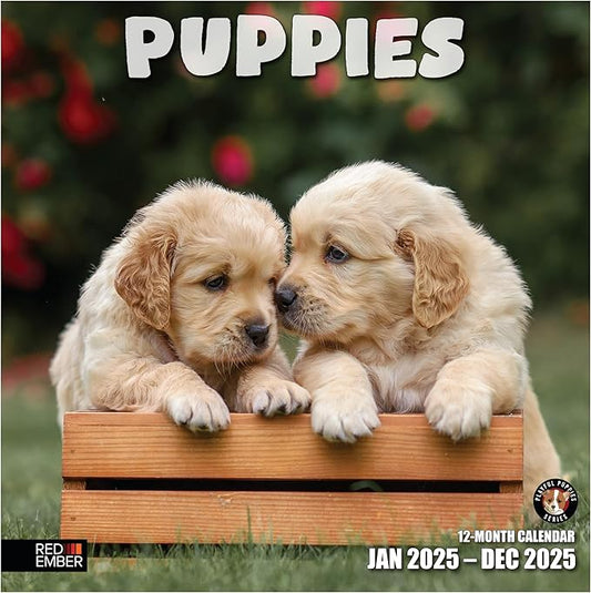 RED EMBER Puppies 2025 Wall Calendar 12 Month | 12" x 24" Open | Thick & Sturdy Paper | Giftable | Dog Calendar 2025