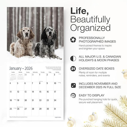 RED EMBER English Setters 2026 Wall Calendar 12 Month | 12" x 24" Open | Thick & Sturdy Paper | Holiday Gift | Cute Puppy Dog Calendar 2026