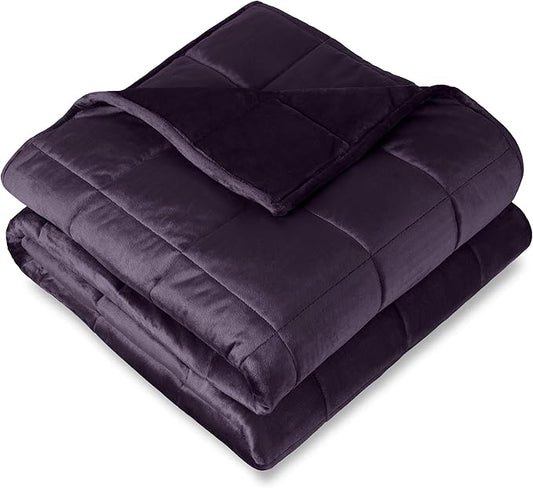 Bare Home Weighted Blanket Twin or Full Size 7lb (40" x 60") - Minky Fleece - Premium Heavy Blanket Nontoxic Glass Beads (Eggplant, 40"x60")