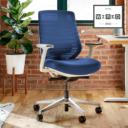 Branch Ergonomic Chair - A Versatile Desk Chair with Adjustable Lumbar Support, Breathable Mesh Backrest, and Smooth Wheels - Experience Optimal Comfort and Support - Baltic