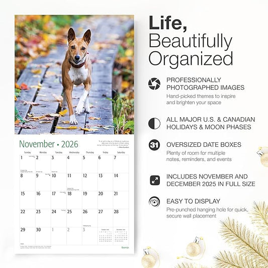 RED EMBER Basenjis 2026 Wall Calendar 12 Month | 12" x 24" Open | Thick & Sturdy Paper | Holiday Gift | Cute Puppy Dog Calendar 2026