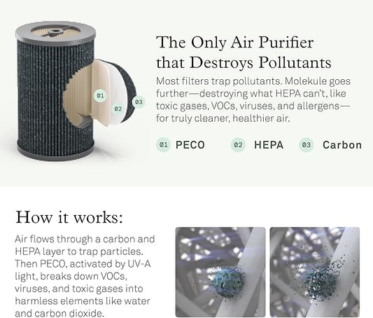 Molekule Air Pro Air Purifier - Purifies Rooms Up to 1000 Sq Ft with High Foot Traffic - FDA Cleared for Destruction of Viruses, Bacteria & Mold - Silver