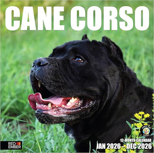 RED EMBER Cane Corso 2026 Wall Calendar 12 Month | 12" x 24" Open | Thick & Sturdy Paper | Holiday Gift | Cute Puppy Dog Calendar 2026