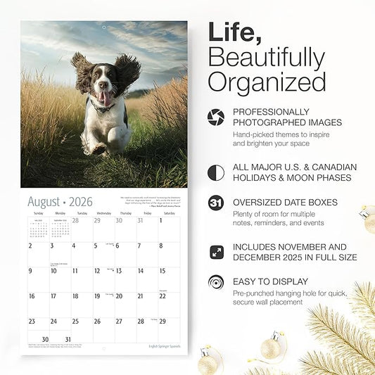 RED EMBER English Springer Spaniels 2026 Wall Calendar 12 Month | 12" x 24" Open | Thick & Sturdy Paper | Holiday Gift | Cute Puppy Dog Calendar 2026