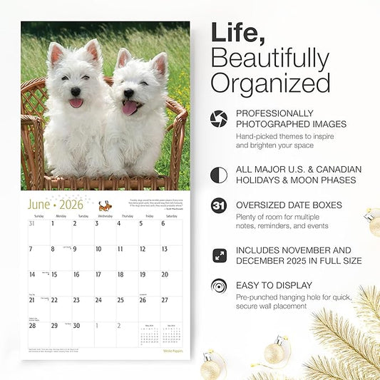 RED EMBER Westie Puppies West Highland White Terrier 2026 Wall Calendar 12 Month | 12" x 24" Open | Thick & Sturdy Paper | Holiday Gift | Cute Puppy Dog Calendar 2026