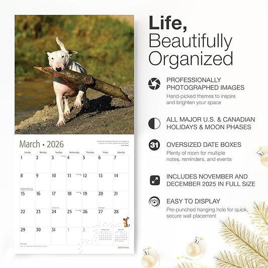 RED EMBER Bull Terriers 2026 Wall Calendar 12 Month | 12" x 24" Open | Thick & Sturdy Paper | Holiday Gift | Cute Puppy Dog Calendar 2026
