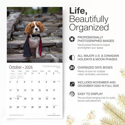 RED EMBER Cavalier King Charles Spaniels 2026 Wall Calendar 12 Month | 12" x 24" Open | Thick & Sturdy Paper | Holiday Gift | Cute Puppy Dog Calendar 2026