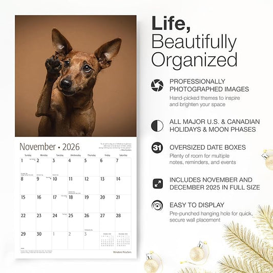RED EMBER Miniature Pinschers 2026 Wall Calendar 12 Month | 12" x 24" Open | Thick & Sturdy Paper | Holiday Gift | Cute Puppy Dog Calendar 2026