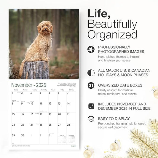 RED EMBER Cavapoos 2026 Wall Calendar 12 Month | 12" x 24" Open | Thick & Sturdy Paper | Holiday Gift | Cute Puppy Dog Calendar 2026