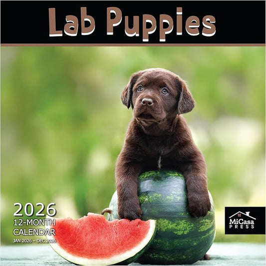 MICASA PRESS Lab Puppies 2026 Wall Calendar 12 Month | 12" x 24" Open | Thick & Sturdy Paper | Holiday Gift | Cute Labrador Retriever Puppy Dog Calendar 2026