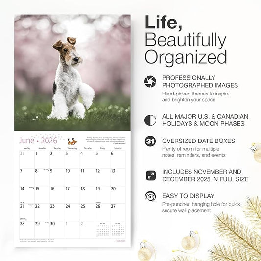 RED EMBER Fox Terriers 2026 Wall Calendar 12 Month | 12" x 24" Open | Thick & Sturdy Paper | Holiday Gift | Cute Puppy Dog Calendar 2026