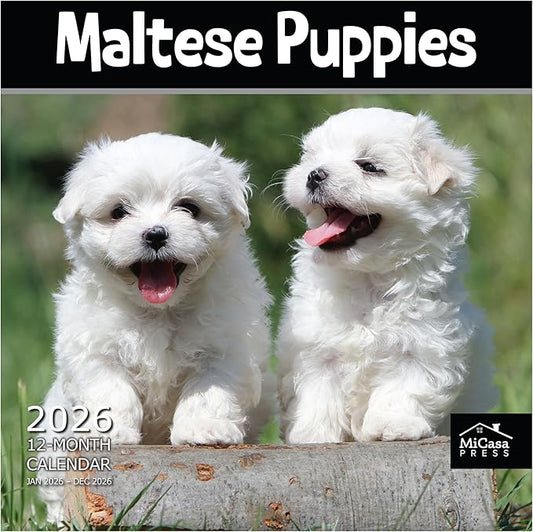 MICASA PRESS Maltese Puppies 2026 Wall Calendar 12 Month | 12" x 24" Open | Thick & Sturdy Paper | Holiday Gift | Cute Puppy Dog Calendar 2026