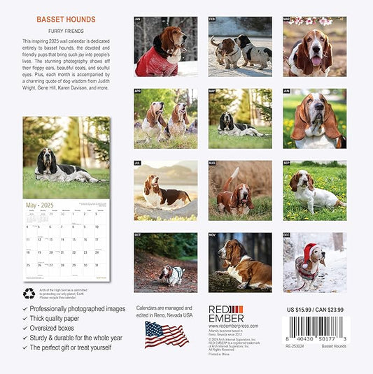 RED EMBER Basset Hounds 2025 Wall Calendar 12 Month | 12" x 24" Open | Thick & Sturdy Paper | Giftable | Dog Calendar 2025
