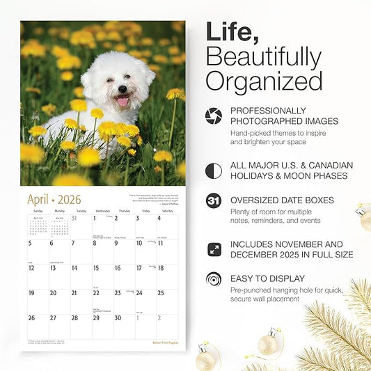 RED EMBER Bichon Frise Puppies 2026 Wall Calendar 12 Month | 12" x 24" Open | Thick & Sturdy Paper | Holiday Gift | Cute Puppy Dog Calendar 2026