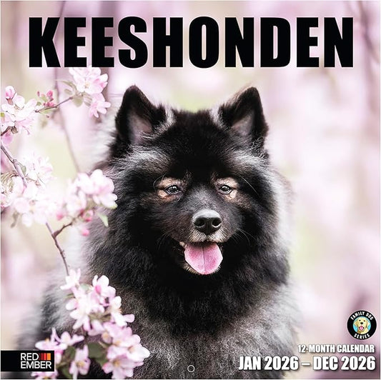 RED EMBER Keeshonden 2026 Wall Calendar 12 Month | 12" x 24" Open | Thick & Sturdy Paper | Holiday Gift | Cute Puppy Dog Calendar 2026