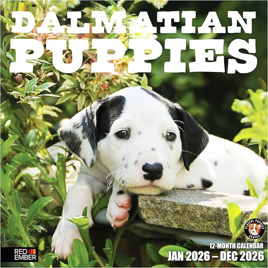 RED EMBER Dalmatian Puppies 2026 Wall Calendar 12 Month | 12" x 24" Open | Thick & Sturdy Paper | Holiday Gift | Cute Puppy Dog Calendar 2026