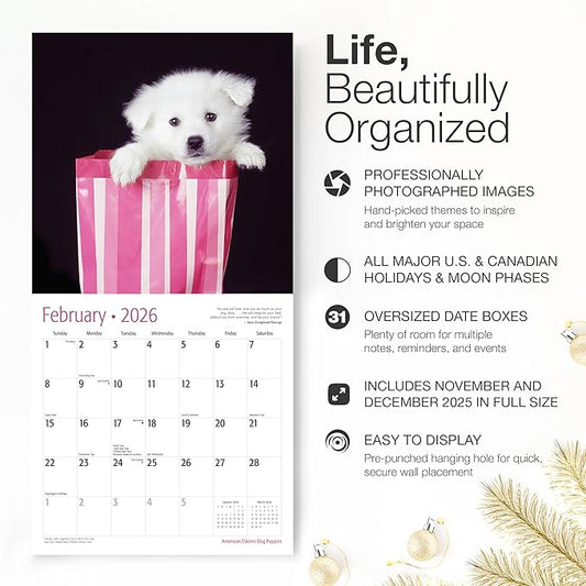 RED EMBER American Eskimo Dog Puppies 2026 Wall Calendar 12 Month | 12" x 24" Open | Thick & Sturdy Paper | Holiday Gift | Cute Puppy Dog Calendar 2026