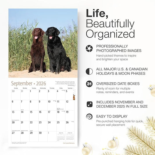 RED EMBER Flat-Coated Retrievers 2026 Wall Calendar 12 Month | 12" x 24" Open | Thick & Sturdy Paper | Holiday Gift | Cute Puppy Dog Calendar 2026