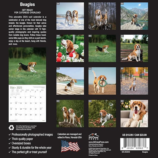 MICASA PRESS - Beagles 2025 Wall Calendar 12 Month | 12" x 24" Open | Thick & Sturdy Paper | Giftable | Dog Calendar 2025