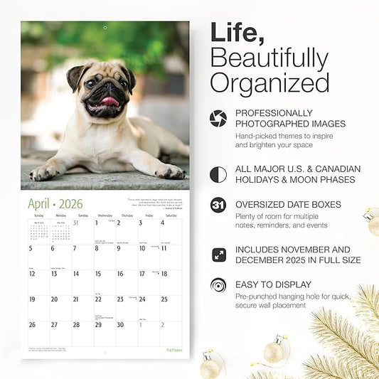 RED EMBER Pug Puppies 2026 Wall Calendar 12 Month | 12" x 24" Open | Thick & Sturdy Paper | Holiday Gift | Cute Puppy Dog Calendar 2026