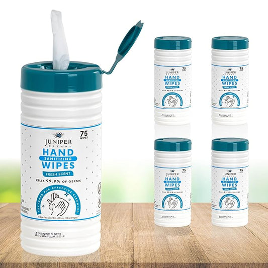 4 Pack Hand Sanitizing Wipes, 300 Count Canister Disposable Hand Sanitizer Wipes, Fresh Scent, Lint Free & Durable