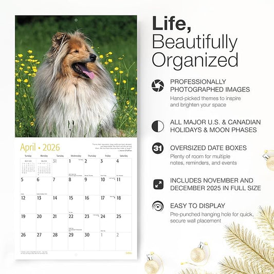 RED EMBER Collies 2026 Wall Calendar 12 Month | 12" x 24" Open | Thick & Sturdy Paper | Holiday Gift | Cute Puppy Dog Calendar 2026