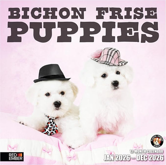 RED EMBER Bichon Frise Puppies 2026 Wall Calendar 12 Month | 12" x 24" Open | Thick & Sturdy Paper | Holiday Gift | Cute Puppy Dog Calendar 2026