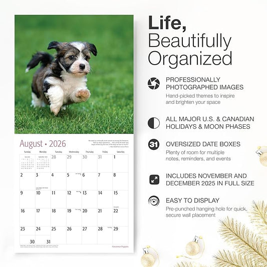 RED EMBER Havanese Puppies 2026 Wall Calendar 12 Month | 12" x 24" Open | Thick & Sturdy Paper | Holiday Gift | Cute Puppy Dog Calendar 2026