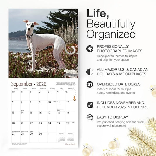 RED EMBER Italian Greyhounds 2026 Wall Calendar 12 Month | 12" x 24" Open | Thick & Sturdy Paper | Holiday Gift | Cute Puppy Dog Calendar 2026