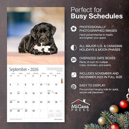 MICASA PRESS Black Lab Puppies 2026 Wall Calendar 12 Month | 12" x 24" Open | Thick & Sturdy Paper | Holiday Gift | Cute Labrador Retriever Puppy Dog Calendar 2026