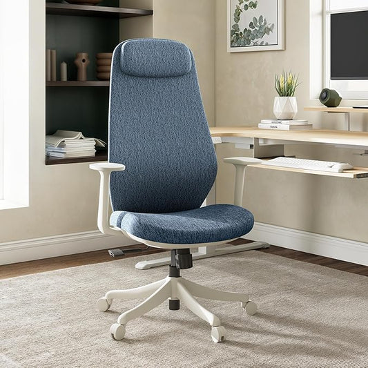 EUREKA ERGONOMIC Skylar-Lite Mesh Office Chair Blue, Ergonomic Office Desk Chair with Adjustable Headrest, Home Office Desk Chairs with Adjustable Lumbar Support