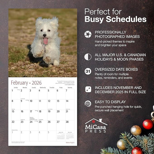 MICASA PRESS Maltese Puppies 2026 Wall Calendar 12 Month | 12" x 24" Open | Thick & Sturdy Paper | Holiday Gift | Cute Puppy Dog Calendar 2026
