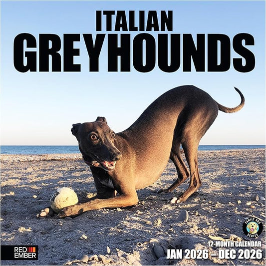 RED EMBER Italian Greyhounds 2026 Wall Calendar 12 Month | 12" x 24" Open | Thick & Sturdy Paper | Holiday Gift | Cute Puppy Dog Calendar 2026