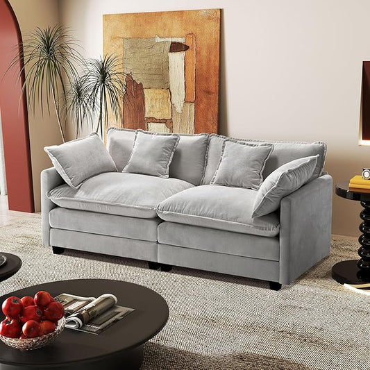 77.6" Modular Sectional Sofa,Loveseat Couch for Living Room, Modern Deep Seat Sofa 2 Seater Chenille Fabric Comfy Cloud Couches with Throw Pillows for Apartment,Small Spaces