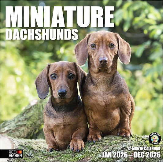 RED EMBER Miniature Dachshunds 2026 Wall Calendar 12 Month | 12" x 24" Open | Thick & Sturdy Paper | Holiday Gift | Cute Puppy Weiner Dog Calendar 2026