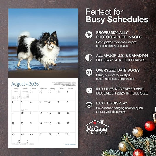 MICASA PRESS Shetland Sheepdogs 2024 Hangable Monthly Wall Calendar | 12" x 24" Open | Thick & Sturdy Paper | Holiday Gift | Cute Sheltie Puppy Dog Calendar 2026